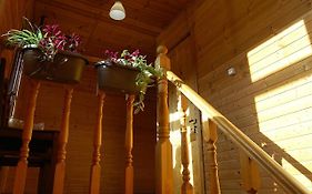 Badishi Guesthouse