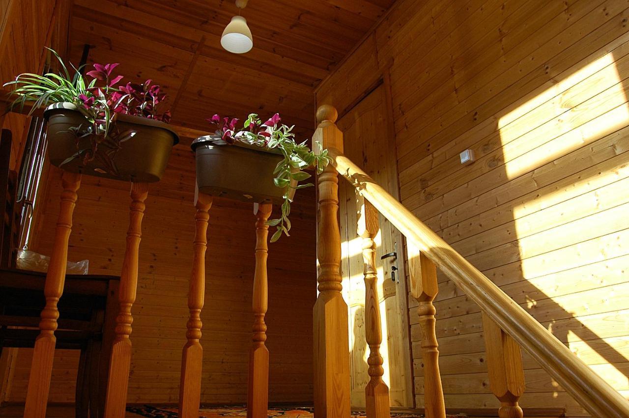 Badishi Guesthouse Mestia Zewnętrze zdjęcie