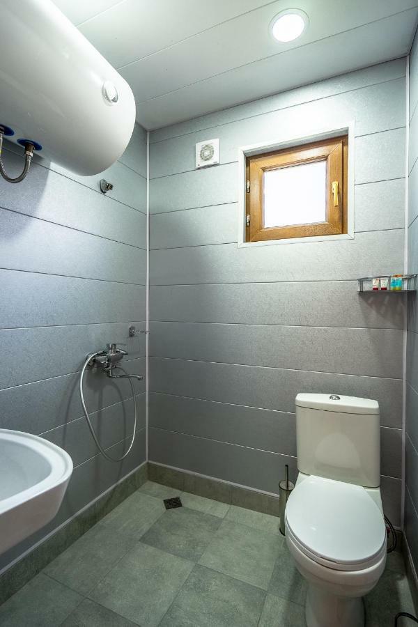 Badishi Guesthouse Mestia Zewnętrze zdjęcie
